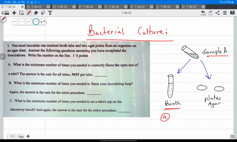 you-must-inoculate-one-nutrient-broth-tube-and-two-agar-plates-from-n-organism-on-an-agar-slant-answer-the-following-questions-assuming-you-have-completed-the-inoculations-write-the-number-o-92475