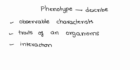 phenotype-describes-the-genetic-makeup-of-an-individual-the-actual-genes-in-an-individual-the-dna-in-an-individual-the-appearance-of-an-individual-85428