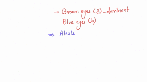 flag-question-question-1-question-11-pts-assuming-blue-eyes-are-a-mendelian-recessive-trait-and-using-a-punnet-square-what-is-the-likelihood-of-evan-and-alexia-having-a-brown-eyed-child-group-of-answe
