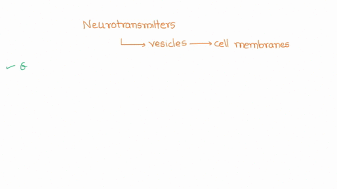 a-class-of-chemicals-called-neurotransmitters-is-important-in-the-transmission-of-nerve-impulses-neurotransmitters-are-packaged-by-the-cell-into-small-membrane-bound-sacs-called-vesicles-upo-93364