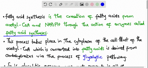 both-fatty-acid-oxidation-and-glycolysis-lead-to-the-formation-of-significant-amounts-of-atp-explain-why-a-cell-preparation-containing-all-of-the-enzymes-required-for-either-pathway-cant-gen-12025