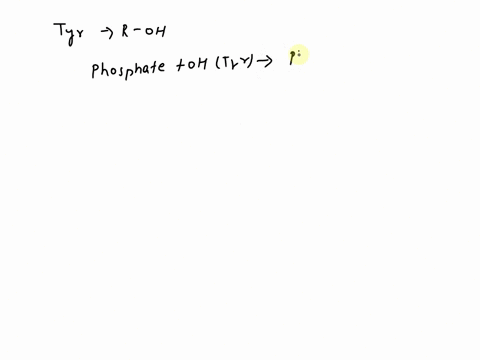 uyrosine-i5-amino-acid-whose-r-groups-are-often-phosphorylated-t0-activate-or-deactivate-enzymes-given-what-you-know-about-the-propertles-of-the-phosphate-group-how-will-adding-phosphate-gro-42897