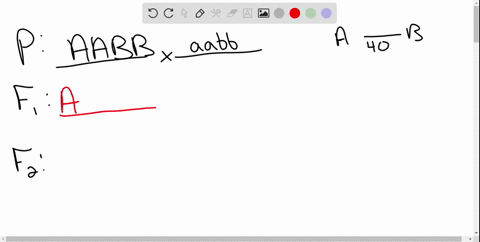 13-if-the-and-b-loci-are-40-cm-apart-and-an-aa-bb-individual-and-an-aa-bb-individual-mate-what-gametes-will-the-f-individuals-produce-and-in-what-proportions-what-phenotypic-classes-in-what-43072