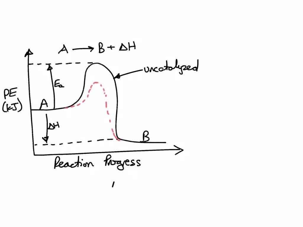 SOLVED By which of the following mechanisms does a catalyst operate