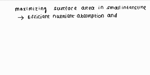 why-is-it-important-that-surface-area-is-maximized-in-the-small-intestine-67692