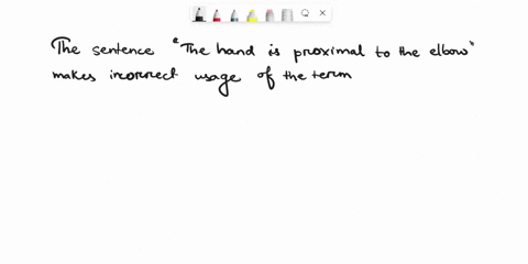 indicate-if-each-of-the-following-sentences-makes-correct-or-incorrect-usage-of-the-word-in-boldface-type-assumethat-the-body-is-in-the-anatomical-position-if-the-sentence-is-incorrect-suppl-55078