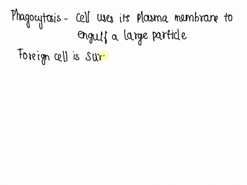 the-following-is-a-list-of-steps-involved-in-the-process-of-phagocytosis-which-of-the-following-answers-indicates-these-steps-in-the-correct-order-1-lysosome-fuses-with-the-vesicle-containin-84557