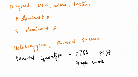 i-just-want-an-explanation-of-what-is-in-bold-please-lab-introduction-a-dihybrid-cross-is-a-cross-between-individuals-that-involves-two-pairs-of-contrasting-traits-to-predict-the-results-of-63218
