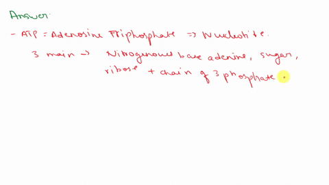 the-structure-of-adenosine-triphosphate-atp-is-shown-here-which-statement-best-explains-how-energy-stored-in-the-chemical-bonds-of-atp-can-be-released-a-adenine-is-removed-by-hydrolysis-from-80802