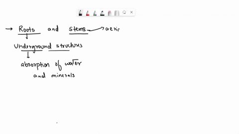 1-i-1-3-1-u-altm-1-diaoor-0r-a-stem-1-1-damined-w-use-l-houewjoluijul-ieaturcs-pravidcd-l-1-1-erplain-38802
