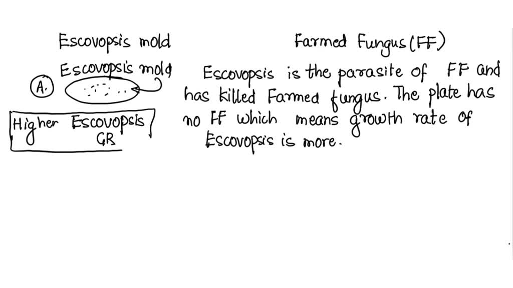 In the Attine ant case study, you predicted the relative growth rate of Escovopsis mold and FF (farmed fungus) assuming two alternative hypotheses: A) Escovopsis is a parasite of FF, and B) Escovopsis is a competitor of FF. Consider nutrient plates that have ONLY Escovopsis and consider nutrient plates that have Escovopsis and FF. What are the predictions for Escovopsis growth rate (GR), assuming Parasitism? (1 point)
a) A plate with ONLY Escovopsis assuming parasitism: Pick one - High Escovopsis GR or Lower Escovopsis GR [Select]
b) A plate with Escovopsis and FF, assuming parasitism: Pick one - High Escovopsis GR or Lower Escovopsis GR [Select]
