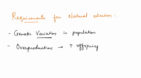 which-of-the-following-are-requirements-for-natural-selection-to-occur-select-one-or-more-population-growth-is-finite-only-one-allele-is-present-for-each-trait-alleles-are-passed-among-the-g-43413