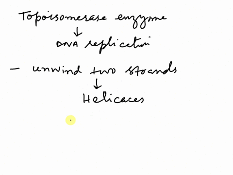 question-23-they-are-several-enzymes-involve-in-dna-replication-topoisomerase-is-the-enzyme-that-unwinds-the-dna-brelieves-coiling-tension-that-develops-as-the-helix-is-unwound-c-allows-for-65322