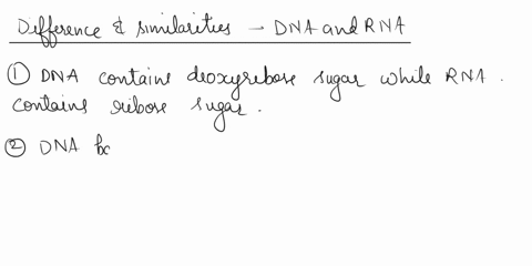 1-state-the-differences-similarities-between-rna-dna-2-write-2-reasons-why-the-structure-of-dna-helps-perform-its-function-pls-answer-both-21712