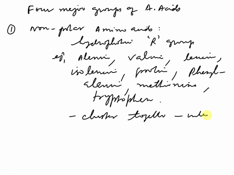 name-four-major-groups-of-amino-acidscategorized-by-the-properties-of-their-r-groups-explain-how-the-chemical-properties-of-each-group-affect-protein-shape-75492