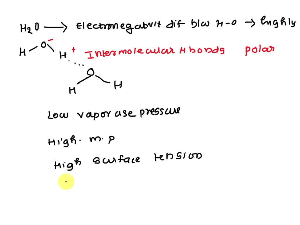 SOLVED 12. Hydrogen Bonding Hydrogen bonds form between adjacent water