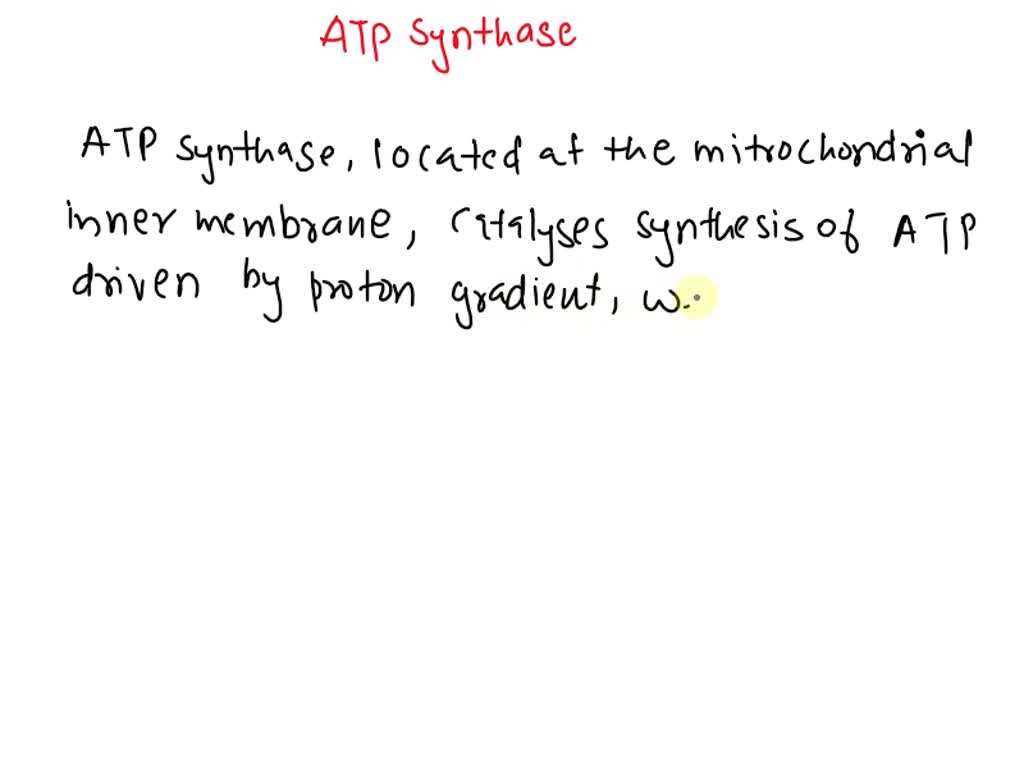 SOLVED: Aerobic respiration in eukaryotes involves the protein complex ...