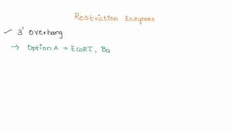consider-the-following-restriction-enzyme-sites-ecori-kpnl-bamhl-sall-hindw-5gaattc-3cttaag-5ggtacc-3ccatgg-5ggatcc-3cctagg-5gtcgac-3cagctg-5aagctt-3ttcgaa-which-of-the-restriction-enzymes-g-92477