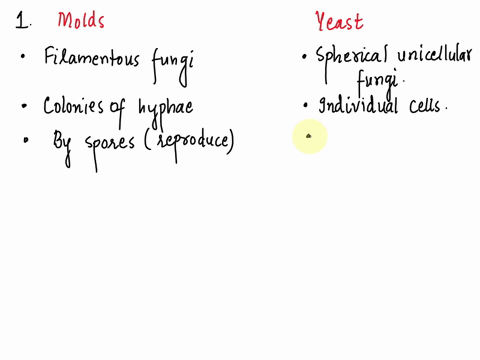 part1discussionquestions-comprehensionmention-five-5-differences-between-molds-and-yeasts-molds-yeasts-not-multicelular-unicelluler-1-2-3-4-5-the-applicationusing-the-documents-providedident-00103