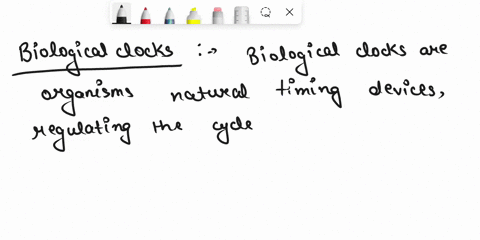 the-bodys-biological-clock-is-controlled-by-the-80437