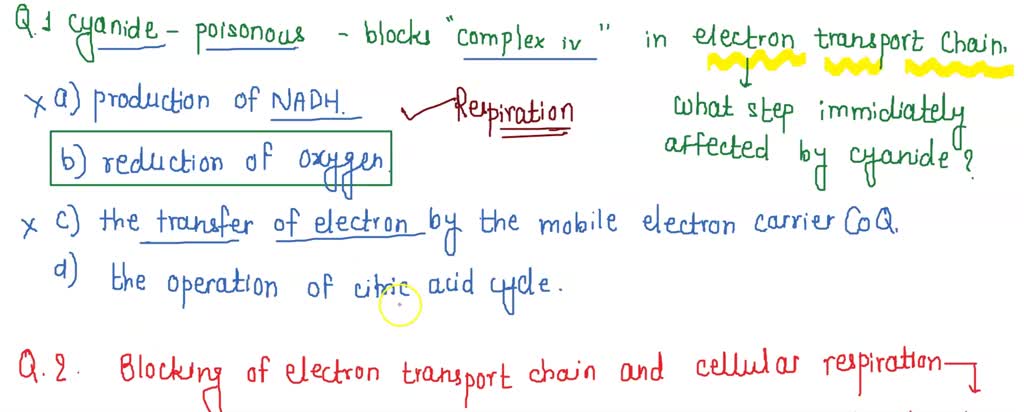 SOLVED: Question 1 0 / 1 pts 1) Cyanide is poisonous because it blocks ...