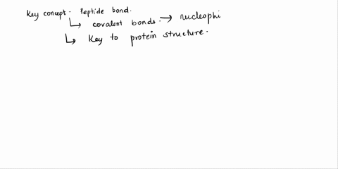 what-determines-the-properties-of-a-protein-76187