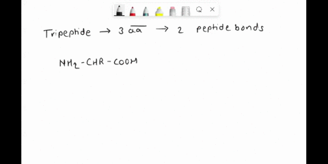 draw-on-a-piece-of-paper-the-structural-formula-of-a-tripeptide-3-amino-acids-linked-by-peptide-bonds-label-the-r-groups-r1-r2-and-r3-draw-a-box-around-one-peptide-bond-2736