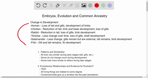 evidence-of-evolution-worksheet-2-embryology-organisms-that-are-closely-related-may-also-have-physical-similarities-beforc-thcy-are-even-born-take-a-look-at-the-six-different-embryos-bclow-s-29706