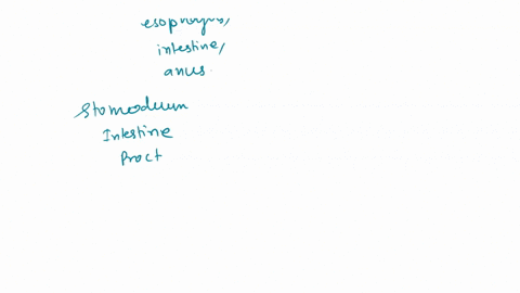 e-x-e-r-s-e-1-3-4-phylum-nematoda_roundworms-objectives-after-completing-this-exercise-you-should-be-able-to-name-representative-members-of-the-phylum-nematoda-explain-the-advantage-of-havin-40342