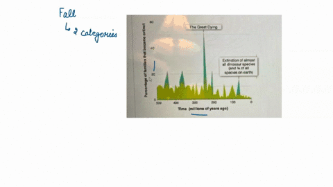 based-on-the-information-in-the-graph-which-statement-is-accurate-two-categories-of-extinction-extinctlont-into-tao-cetegoria-mass-extinctions-larga-number-speckes-become-extinct-over-short-06132