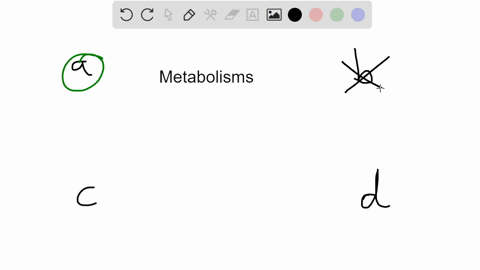 in-which-of-the-following-aspect-does-amino-acidprotein-metabolism-differ-from-that-of-carbohydrates-and-triacylglycerolsselect-onea-there-is-no-storage-form-for-amino-acids-in-the-bodyb-ami-00313