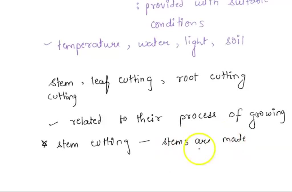 SOLVED: Investigate various techniques of plant propagation (e.g., leaf ...