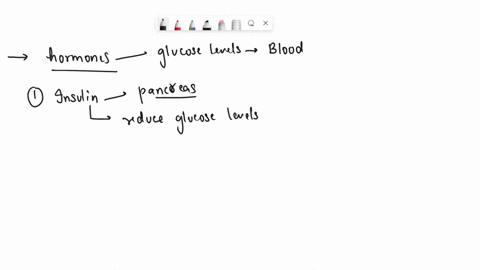 glucagon-and-insulin-act-synergistically-to-increase-blood-glucose-true-or-false-27815