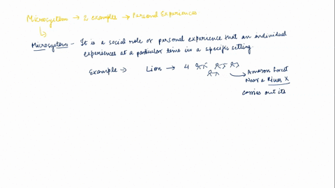 choose-a-particular-time-in-your-life-and-provide-a-few-sentences-of-description-so-i-know-a-little-bit-about-your-life-at-the-time-you-are-writing-about-define-the-microsystem-list-and-expl-99136