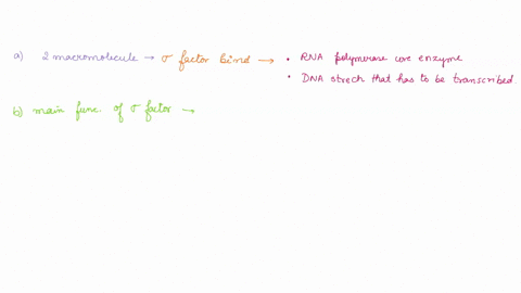 compare-and-contrast-c3-c4-and-cam-plants-describing-their-carbon-fixation-pathways-differences-as-well-09894