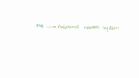 what-type-of-neurons-can-be-found-in-the-pns-79736