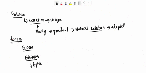 what-theory-proposes-that-evolution-occurs-steadily-slowly-in-tiny-changes-over-long-periods-of-time-a-gradualism-b-relative-dating-c-natural-selection-d-punctuated-equilibrium-98618