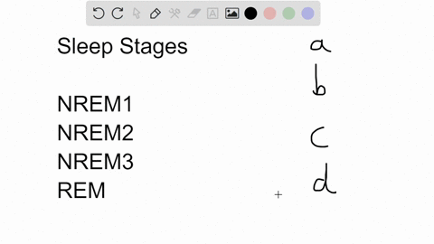 in-the-deepest-stage-of-sleep-the-brain-emits-large-slow-waves-this-deep-stage-of-sleep-is-called-a-95963