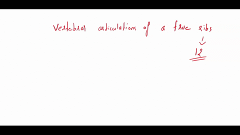 transverse-costal-facet-fortubercle-of-rib-superior-costal-facet-for-head-of-rib-body-of-vertebra-head-of-rib-shaft-tubercle-of-rib-costal-cartilage-puestion-describe-the-vertebral-articulat-34331