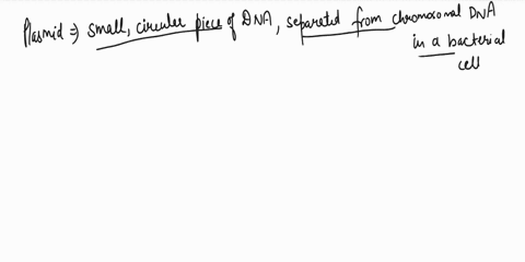 m-small-volume-of-aqueous-huffer-and-is-free-of-salts-bacterial-chromosomal-dna-and-ce-4te-they-are-plasmtc-1952-f-utable-hl-rrna-the-purity-of-the-plasmid-produced-by-this-system-makes-idea-64166