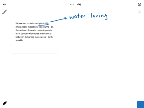 where-in-a-protein-are-hydrophilic-interactions-most-likely-to-occur-a-on-the-surface-of-a-water-soluble-protein-b-in-contact-with-water-molecules-c-between-2-charged-molecules-d-both-a-and-62658