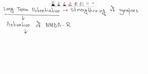which-of-the-following-is-a-likely-mechanism-for-long-term-potentiation-a-when-glutamate-binds-to-po-49552