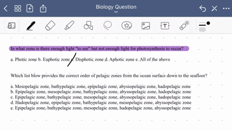 in-what-zone-is-there-enough-light-t0-see-but-not-enough-light-for-photosynthesis-t0-occur-photic-zone-euphotic-zone-disphotic-zone-aphotic-zone-all-of-iho-above-question-which-iist-blow-pro-33771