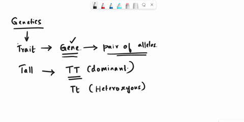 which-of-the-following-best-describes-the-equal-expression-of-two-alleles-codominance-incomplete-dominance-complete-dominance-epistasis-which-of-the-following-best-describes-an-allele-that-i-71525