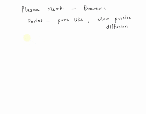 which-of-the-following-is-not-found-in-the-plasma-membrane-of-bacteria-a-signaling-proteins-b-transporter-proteins-c-porins-d-electron-transport-system-55794