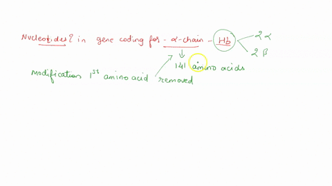 23-following-translation_-the-alpha-polypeptide-chain-of-haemoglobin-a-globin-undergoes-modification-during-this-modification-tne-first-amino-acid-is-removed-leaving-141-amino-acid-residues-93305