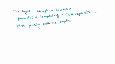 question-7-25-pts-how-does-the-double-helix-structure-of-dna-support-its-role-in-encoding-the-genome-complementary-base-pairing-creates-very-stable-structure-the-sugar-phosphate-backbone-pro-46638