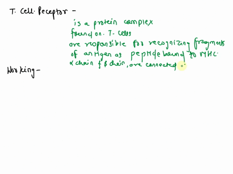 what-is-t-cell-receptor-tcr-how-it-works-16096
