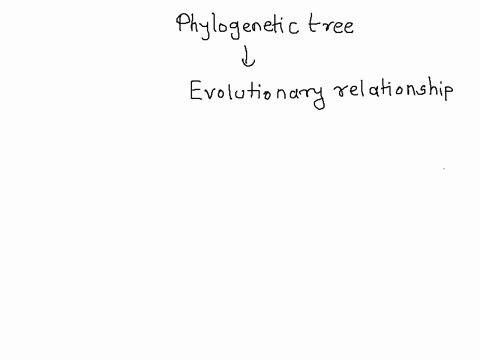which-statement-about-phylogenetic-trees-is-correct-select-one-for-a-given-set-of-traits-single-tree-is-possible-b-branch-length-is-always-proportional-to-time-trees-represent-hypothesized-e-50742