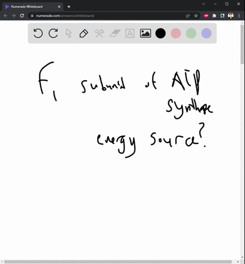 where-does-the-f1-subunit-of-atp-synthase-get-its-energy-to-catalyze-the-synthesis-of-atp-a-from-the-hydrolysis-of-atp-b-from-rotational-energy-provided-by-the-flow-of-protons-through-the-ch-44702